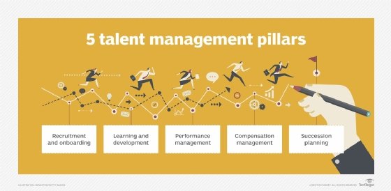 A chart describing the five steps of the talent management process.