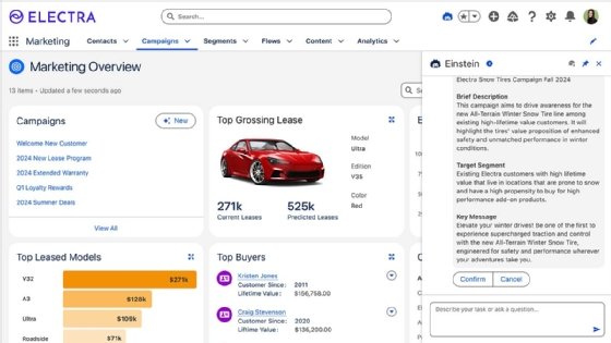 Salesforce Marketing Campaign Agent screenshot.