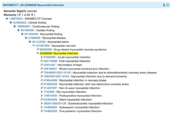 West Coast Informatics SNOMED CT search engine screenshot.