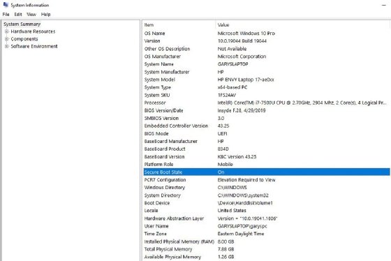 The System Summary menu within the System Information utility shows basic information for several Windows settings.